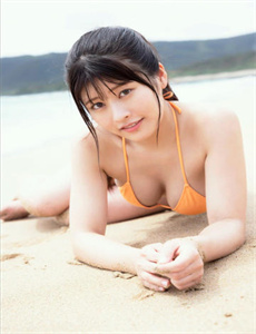 独裁者2012
