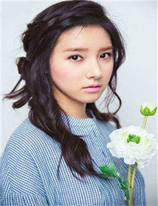 花环夫人下载