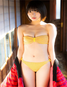 元宵 晚会